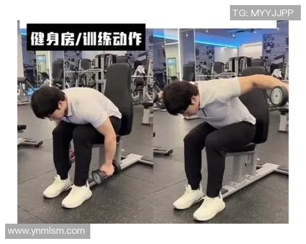 提升肩部力量的哑铃训练动作视频分享与技巧解析